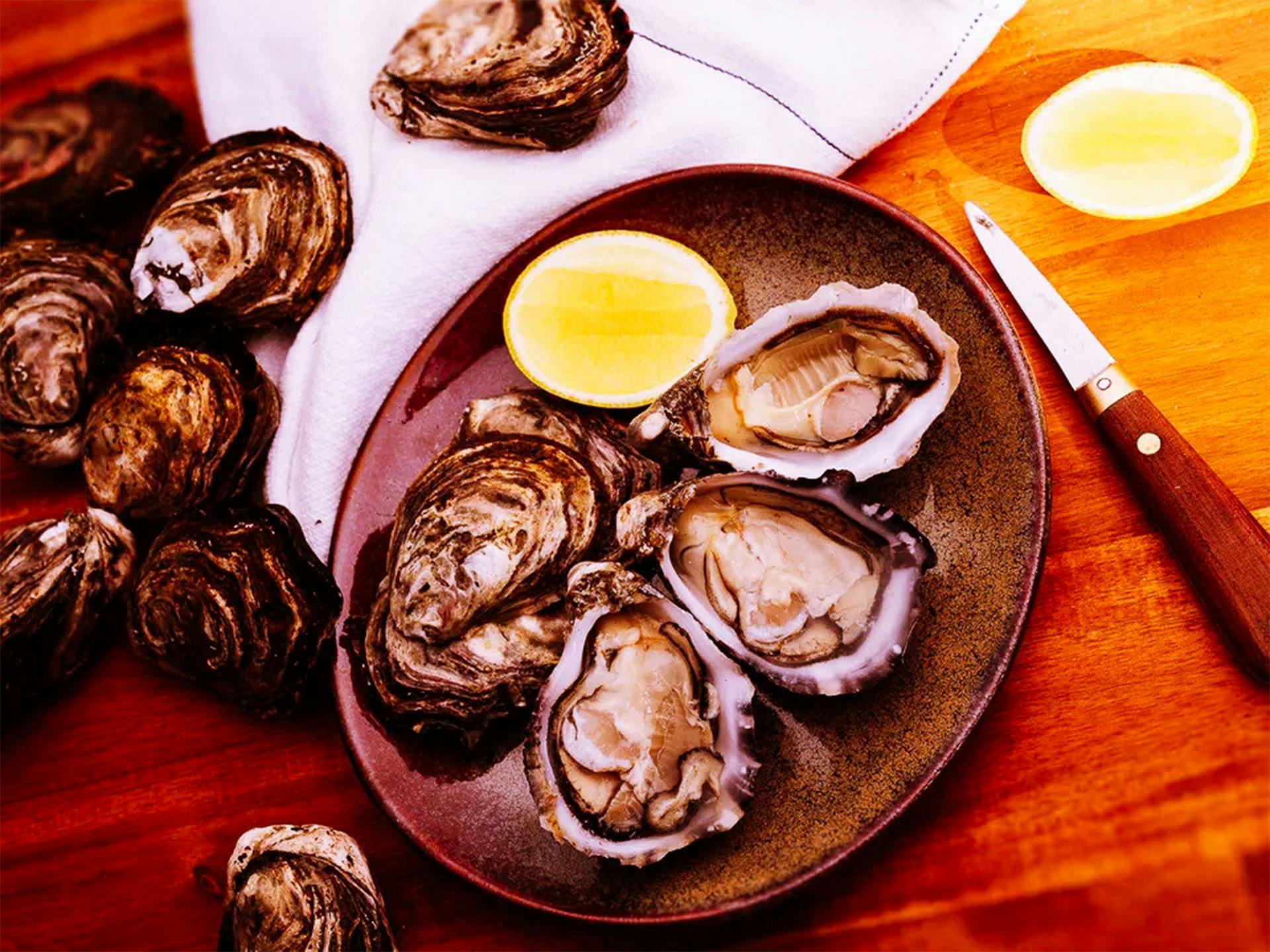 Oysters on a plate with a slice of lemon
