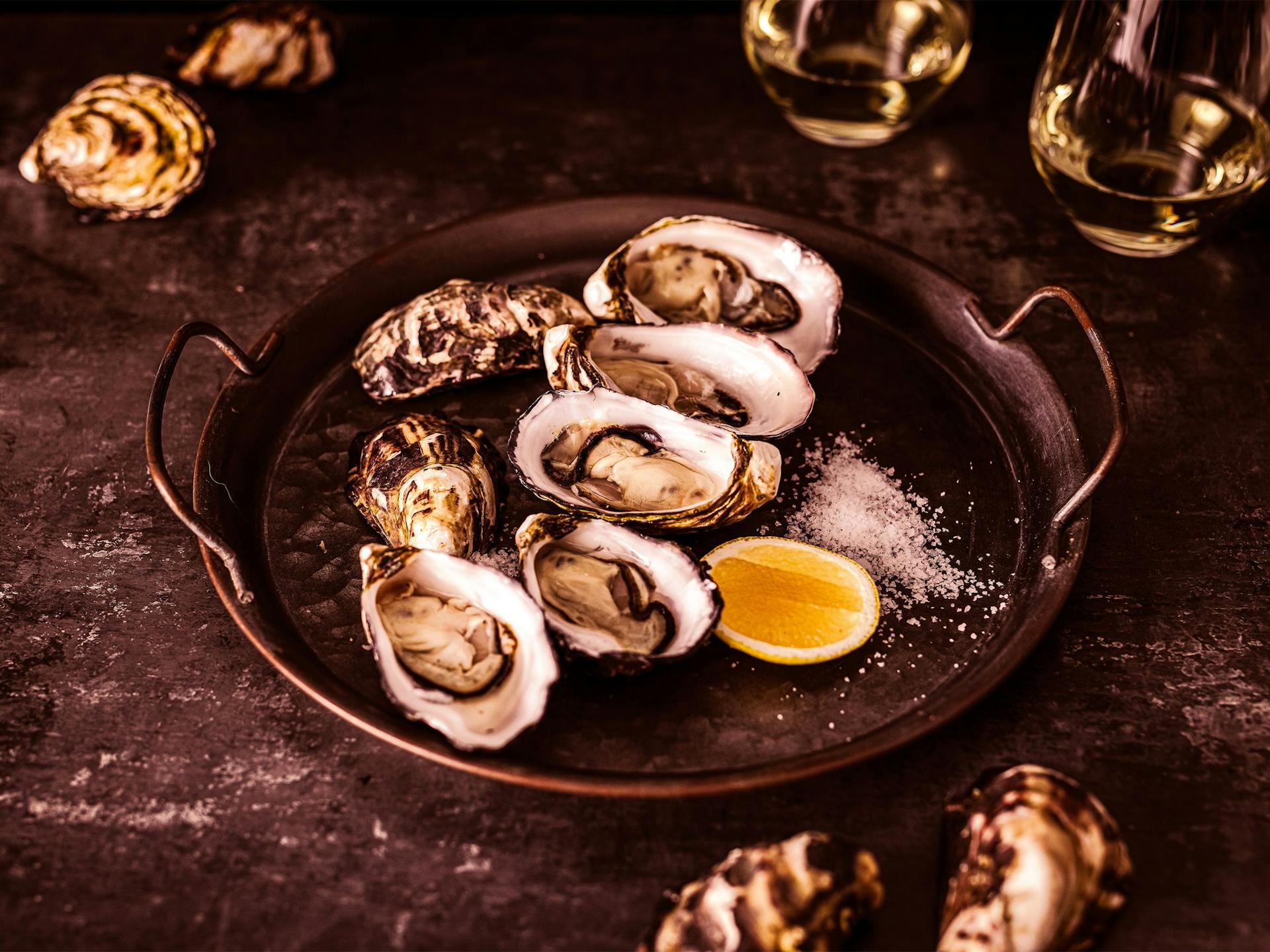 Five shucked oysters lie in a pan with salt, lemon and various unshucked oysters. 